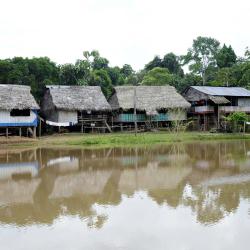 Puerto Maldonado Tourism Africa