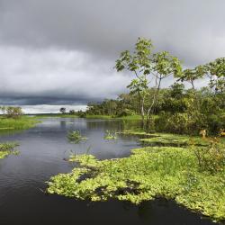 Ucayali Tourism Africa