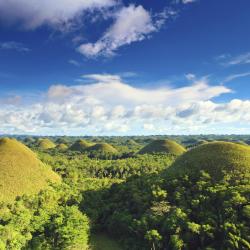 Bohol Tourism Africa