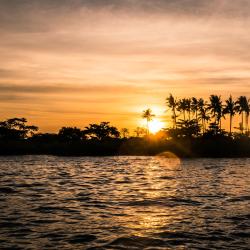 Mactan Island Tourism Africa