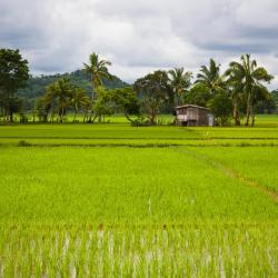 Mindoro Tourism Africa