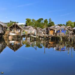 Puerto Princesa Tourism Africa