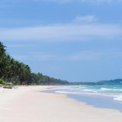 San Vicente Tourism Africa