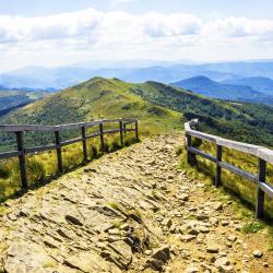 Bieszczady Tourism Africa