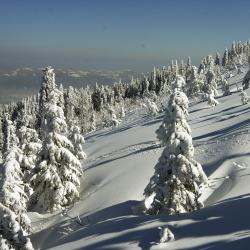 Szczyrk Tourism Africa