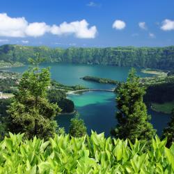 Azores Tourism Africa
