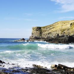 Costa Alentejana Tourism Africa