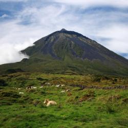 Pico island Tourism Africa