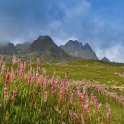 Santa Maria Tourism Africa