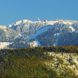 Poiana Brasov Tourism Africa
