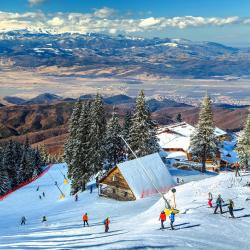 Poiana Brasov Tourism Africa