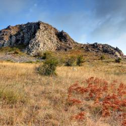 Slanic Prahova Tourism Africa