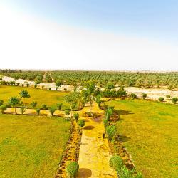 Al Qassim Province Tourism Africa