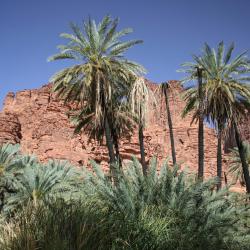 AlUla Tourism Africa