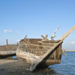 Dammam Tourism Africa