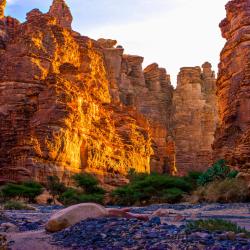 Tabuk Province Tourism Africa