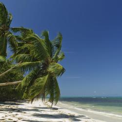 Grand'Anse Praslin Tourism Africa