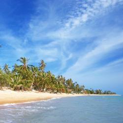 Koh Samui Tourism Africa