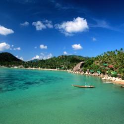 Koh Tao Tourism Africa