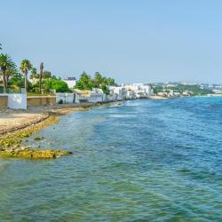 Carthage Tourism Africa