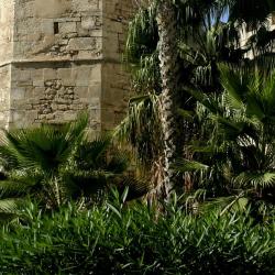 Sfax Tourism Africa