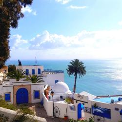 Sidi Bou Saïd Tourism Africa