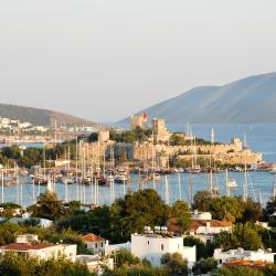 Bodrum Tourism Africa