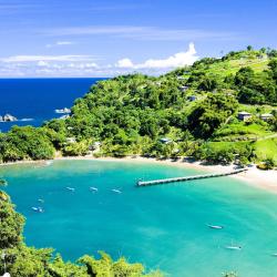 Scarborough Tourism Africa