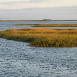 Cape Cod Tourism Africa