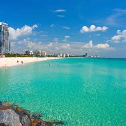 Florida Tourism Africa