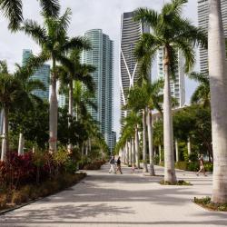 Miami Tourism Africa