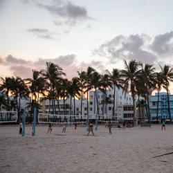 Miami Beach Tourism Africa