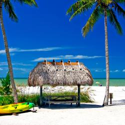 Sanibel Island Tourism Africa