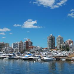 Punta del Este Tourism Africa