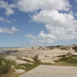 Rocha Tourism Africa