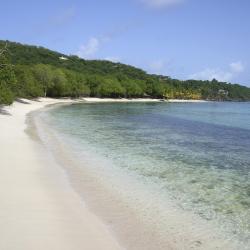 Saint Vincent Tourism Africa