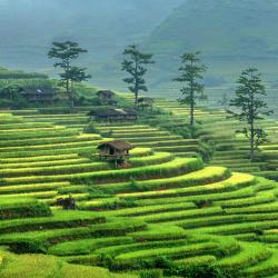 Ha Giang Tourism Africa
