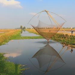 Hai Duong Tourism Africa