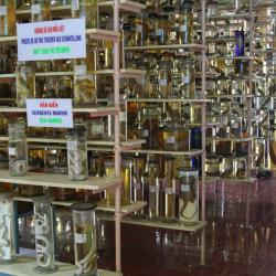 Institute of Oceanography, Nha Trang Tourism Africa