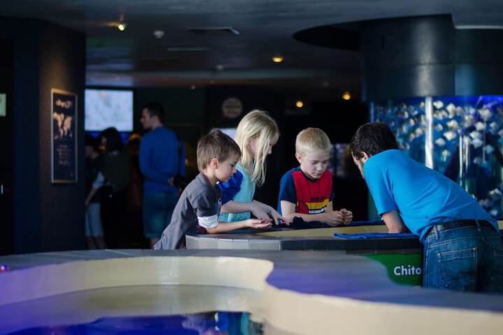 Lady Hamilton Hotel - thumb 4