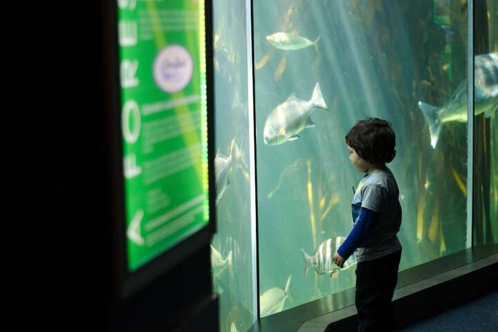 Lady Hamilton Hotel - thumb 1