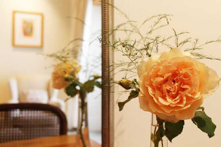 Jan Harmsgat Country House - thumb 2