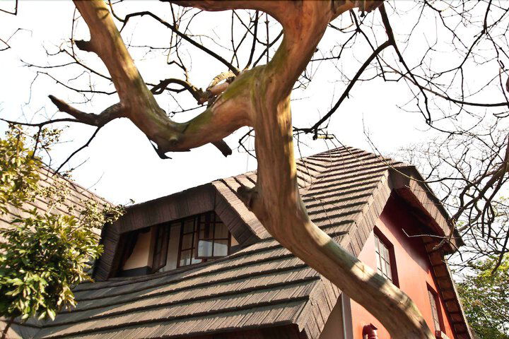 Woodpecker Inn - thumb 5