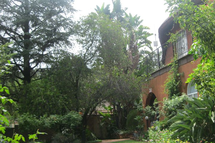 TreeTops & Treats Guest House - thumb 3