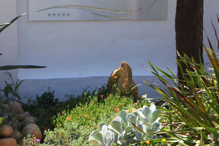 Fynbos Ridge - thumb 3