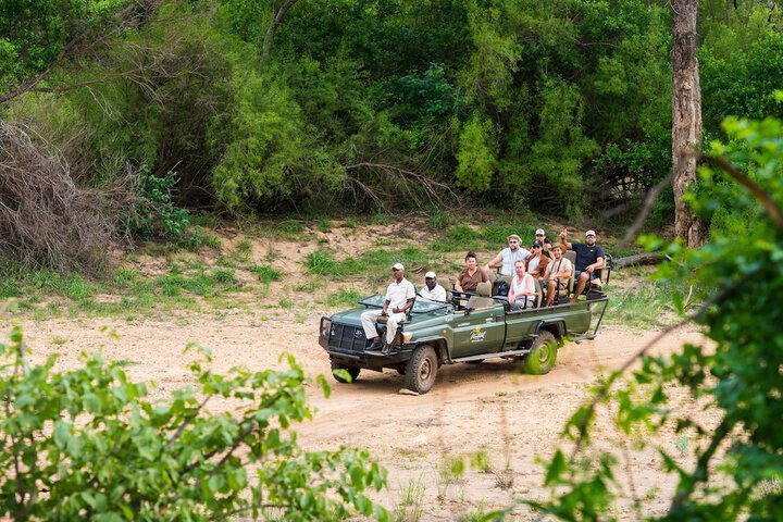 Aha Makalali Private Game Reserve - thumb 1