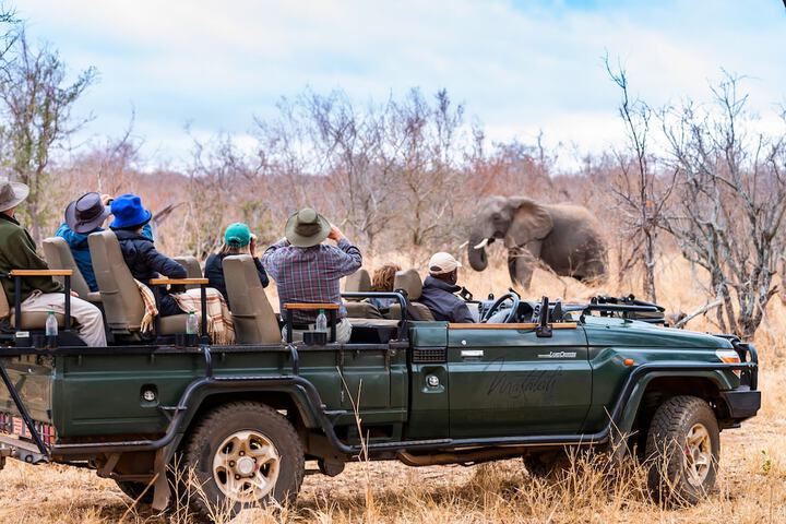 Aha Makalali Private Game Reserve - thumb 4