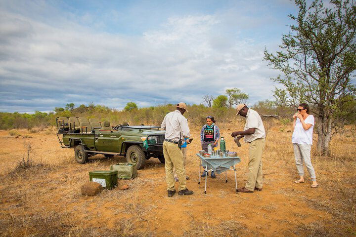 Aha Makalali Private Game Reserve - thumb 6