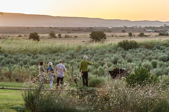 De Denne Country Guest House - thumb 1