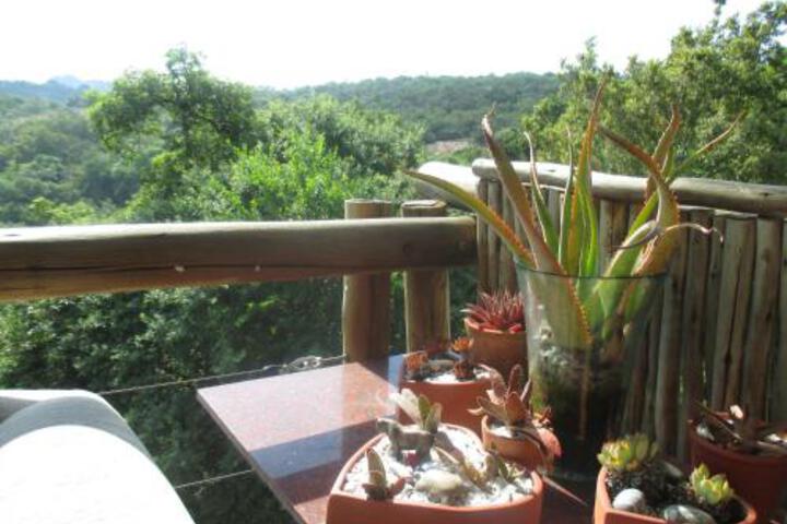 Utopia In Africa Guest Villa - thumb 2